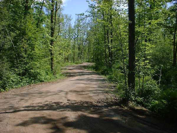 driveway-improved